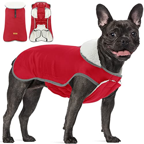 Winter Hundemantel mit Bauchschutz, Reflektierende Warme wasserdichte Hundejacke, Winddicht Hundekleidung Outfit Weste...