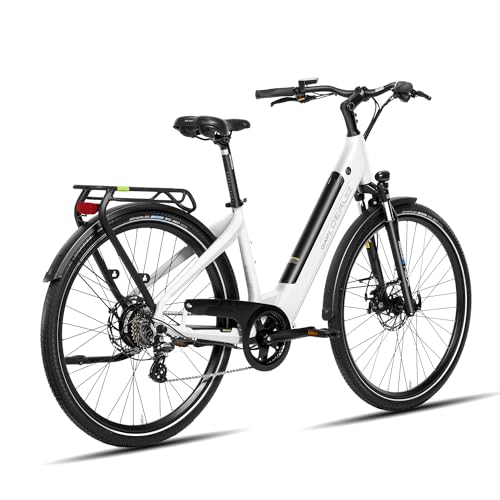 DERUIZ E-Bike Quartz,28 Zoll Trekking Elektrofahrrad, E Bike Damen und Herren, 250W 55N.m Motor,48V13.4Ah 644Wh Akku...