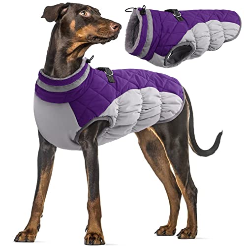 Hundemantel Wasserdicht, Warm Winterjacke für Kleine Hunde Kleidung Winter Weste Jacke Hundepullover Hundemantel mit...