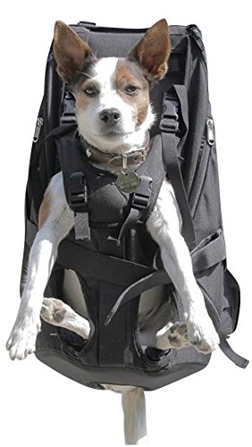 PREMIUM BIG&SLIM DOG CARRIER Hunderucksack als Hundetransporttasche / Rucksack, schwarz - Hochwertiger Hunderucksack...