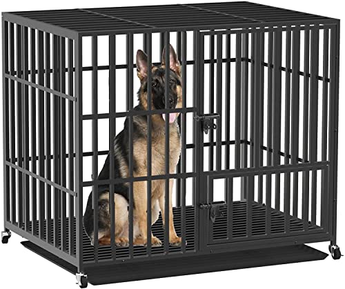 BingoPaw Hundekäfig XXL Transportbox Schwerlast: Hundebox große Hunde Hundetransportbox Metall Hundezwinger Indoor...