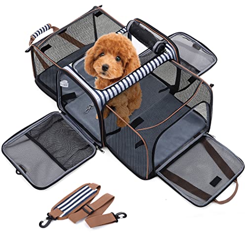 Lekesky Erweiterba Transportbox Katze Hund, Faltbare Katzentransporttasche Hundetasche mit Waschbare Matte und...